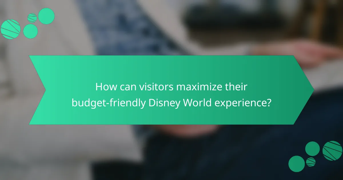 How can visitors maximize their budget-friendly Disney World experience?