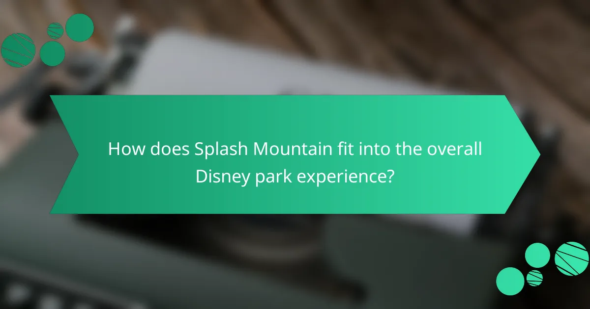 How does Splash Mountain fit into the overall Disney park experience?