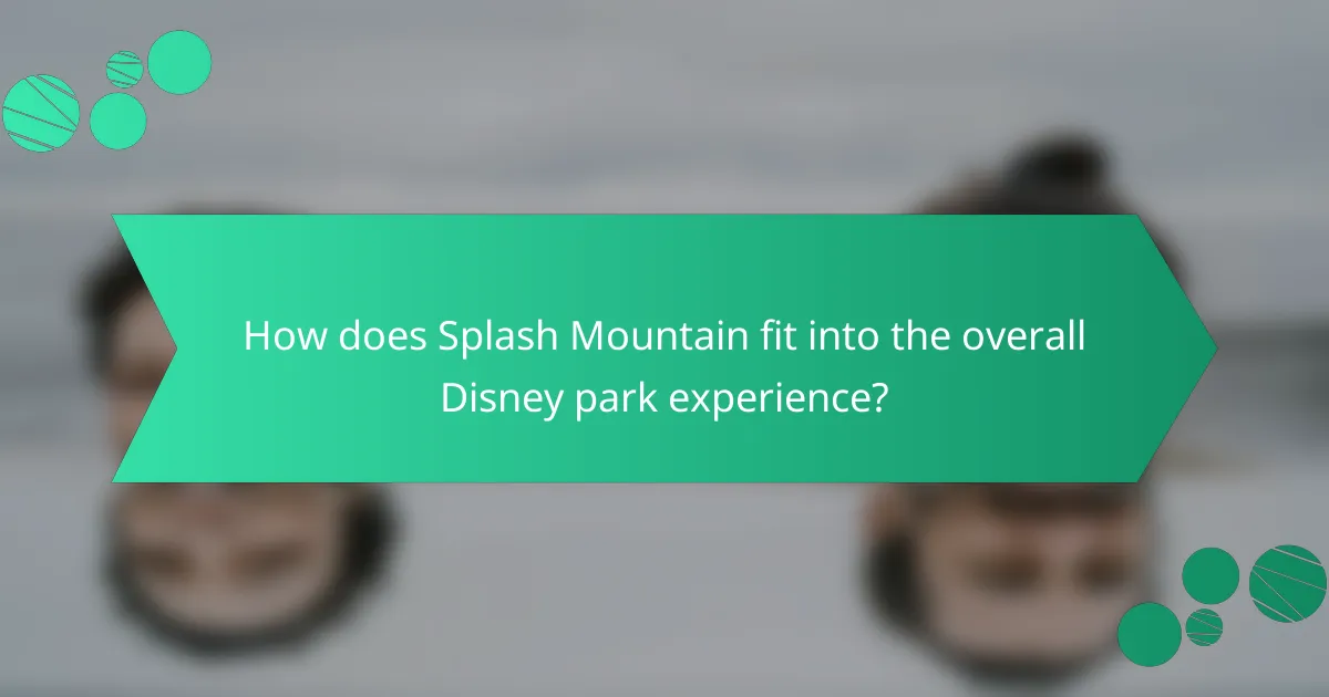 How does Splash Mountain fit into the overall Disney park experience?