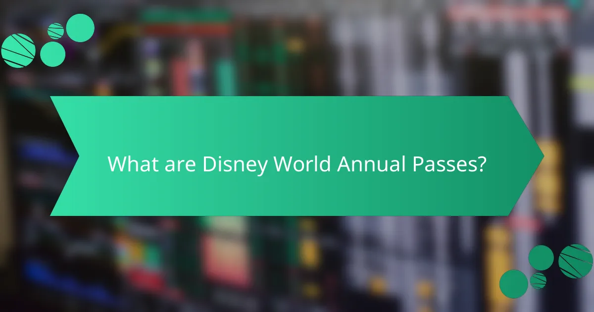 What are Disney World Annual Passes?