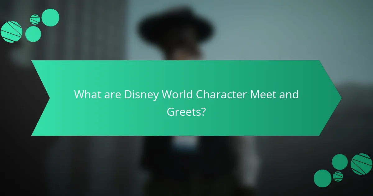 What are Disney World Character Meet and Greets?