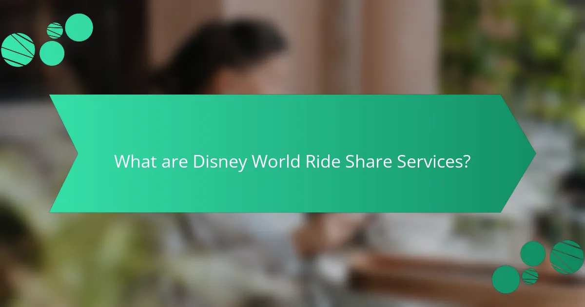 What are Disney World Ride Share Services?