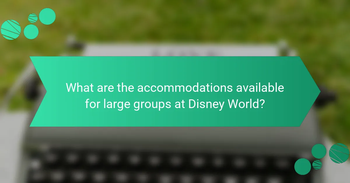 What are the accommodations available for large groups at Disney World?