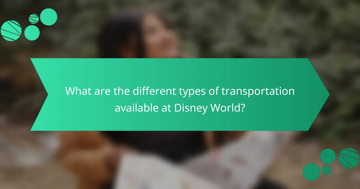 What are the different types of transportation available at Disney World?