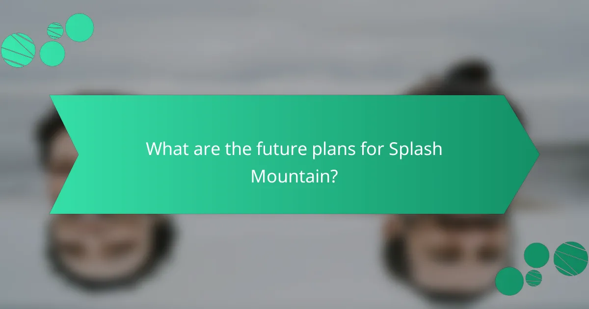 What are the future plans for Splash Mountain?