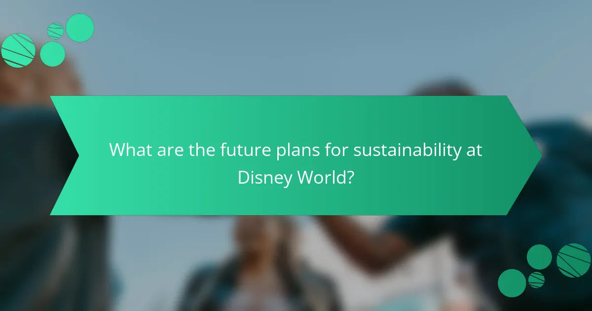 What are the future plans for sustainability at Disney World?