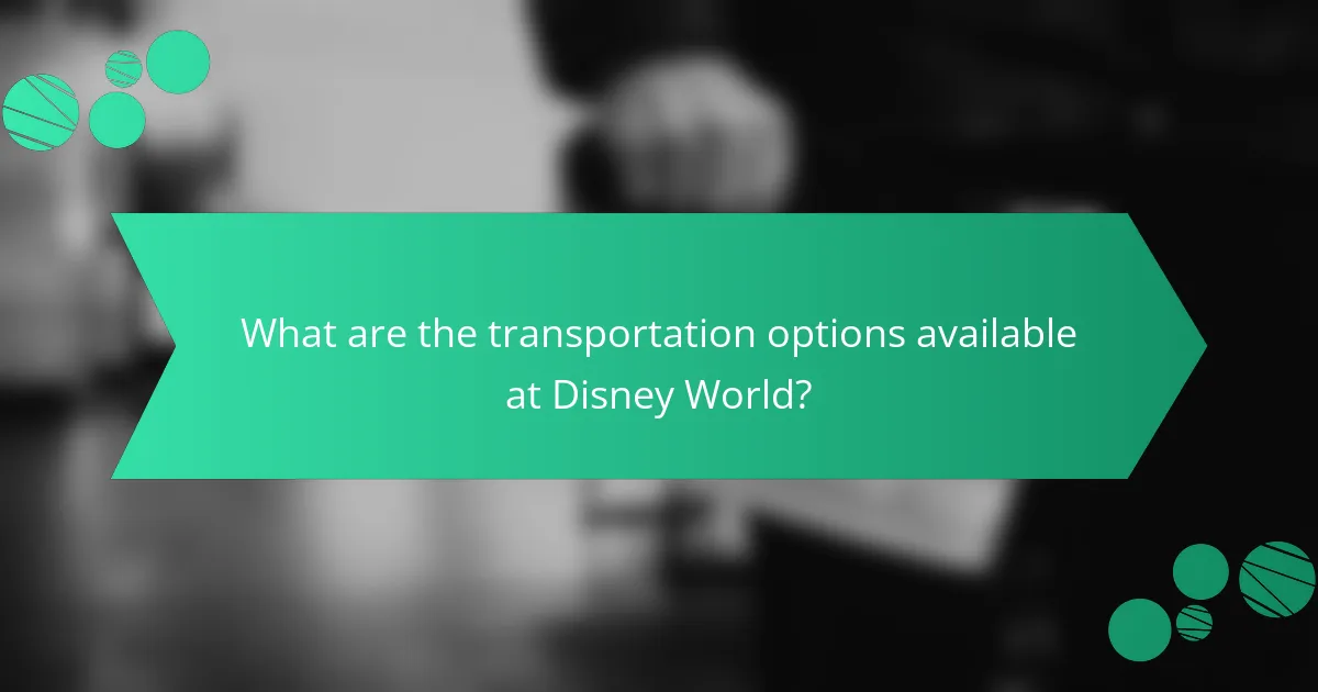 What are the transportation options available at Disney World?