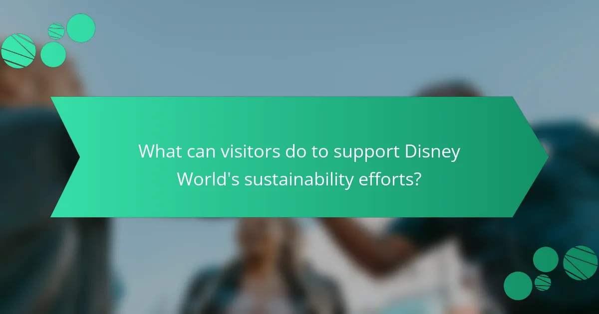 What can visitors do to support Disney World's sustainability efforts?