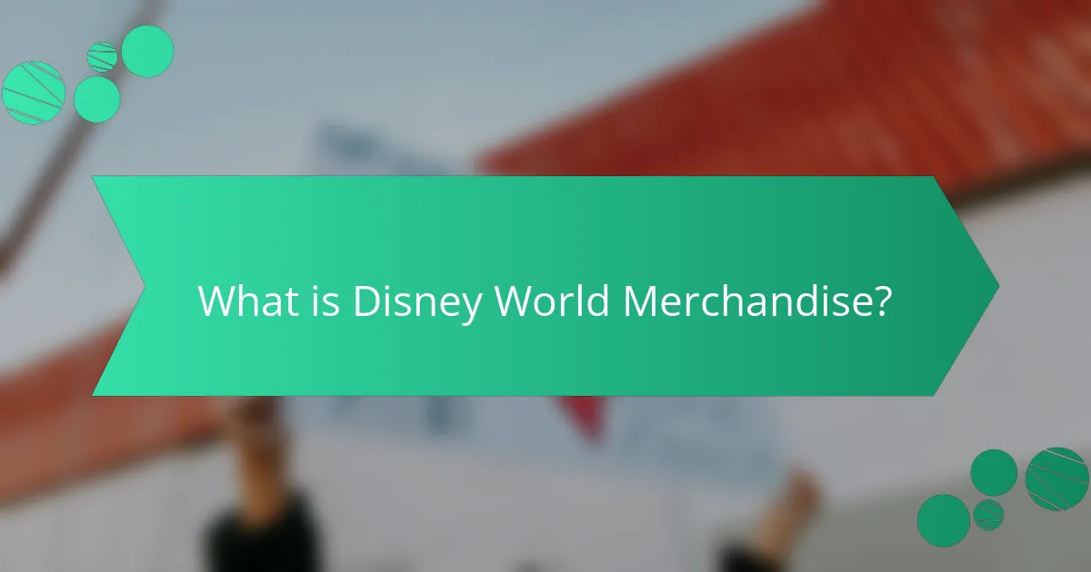 What is Disney World Merchandise?