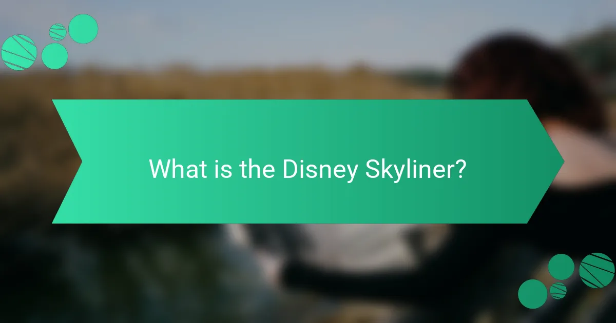 What is the Disney Skyliner?