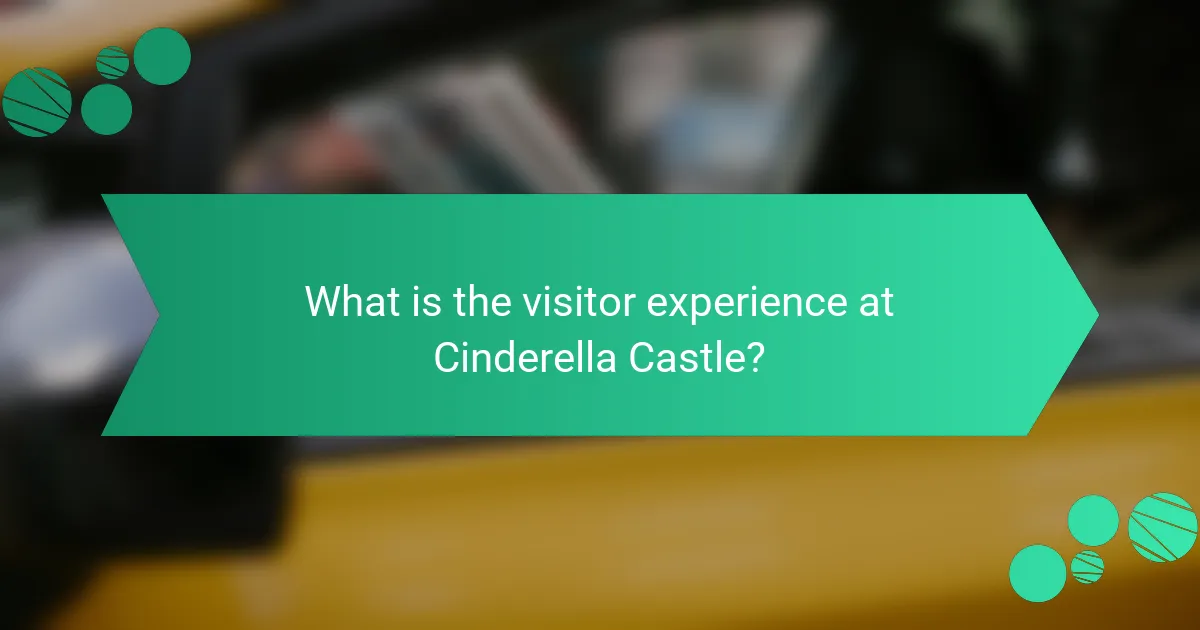What is the visitor experience at Cinderella Castle?