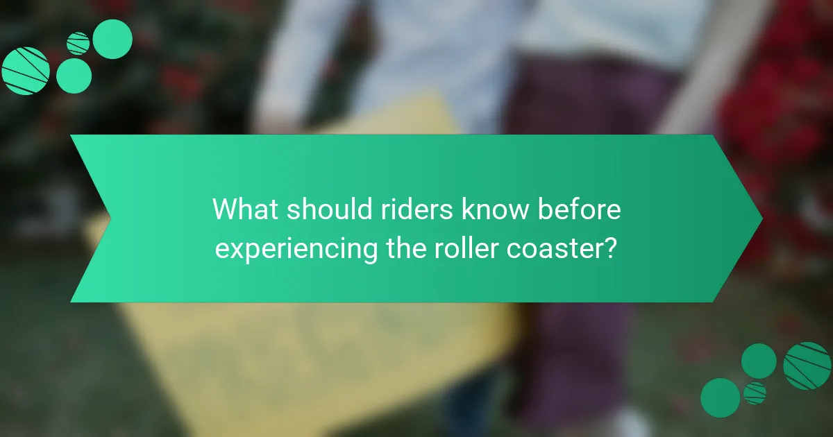 What should riders know before experiencing the roller coaster?