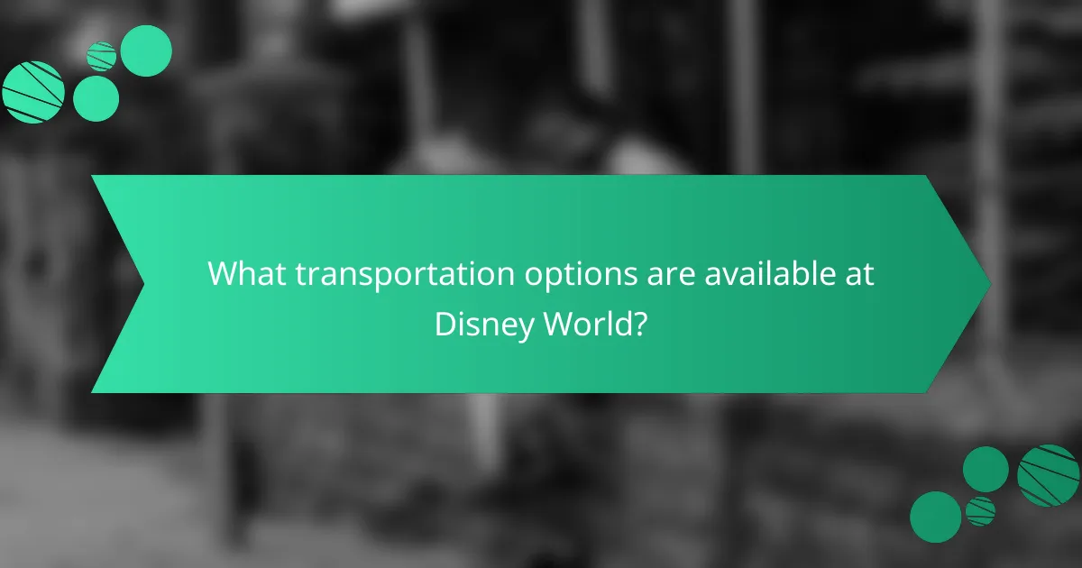 What transportation options are available at Disney World?